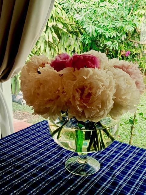 Bamboo Garden Resort Phu Quoc Exterior photo